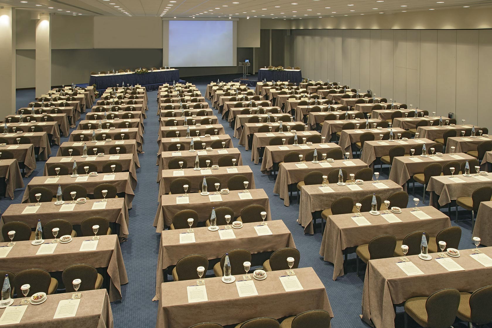 Porto Carras Meliton Hotel