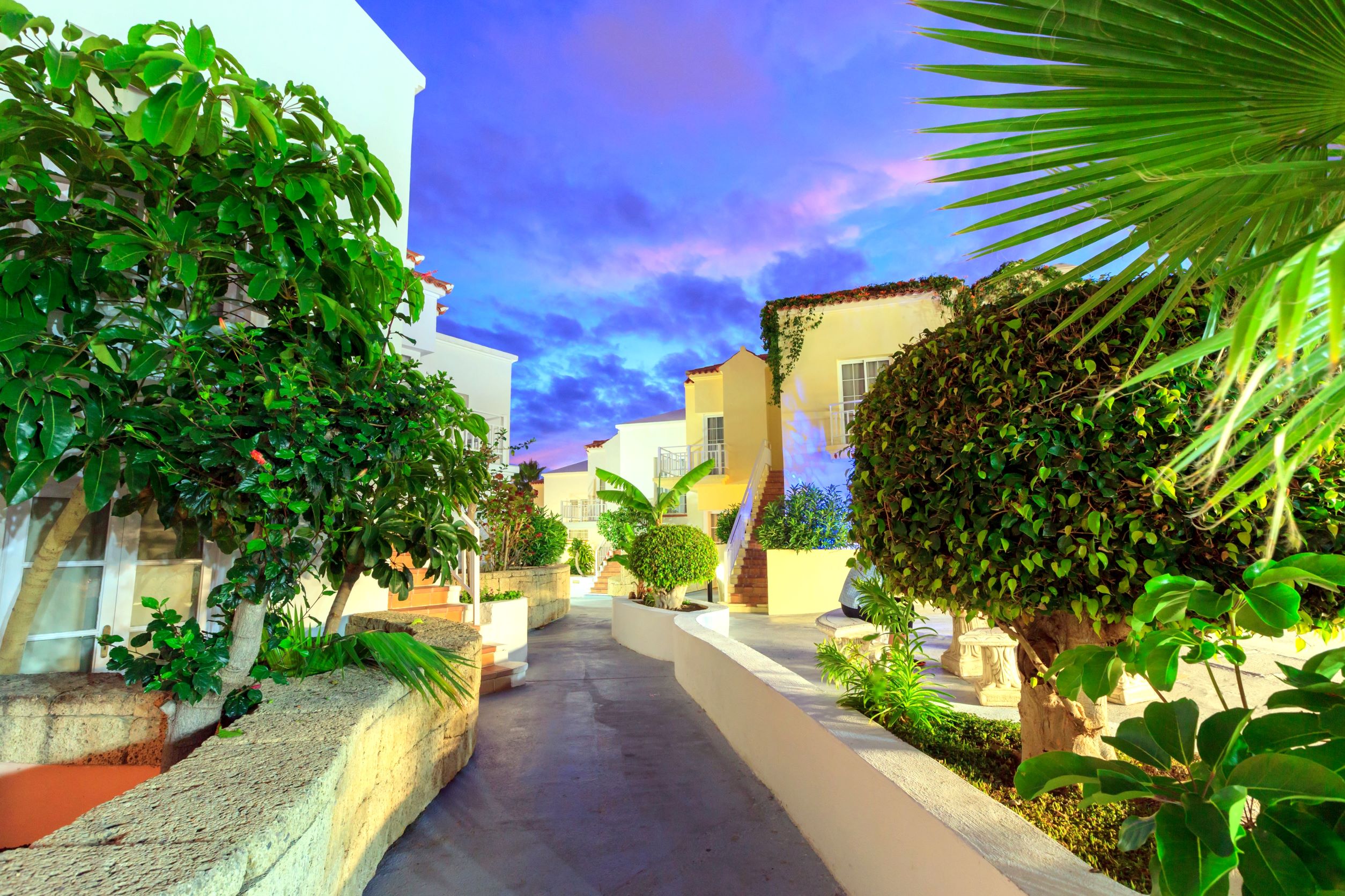Bluesea Bahía Fañabé & Villas — Costa Adeje, Canary Islands