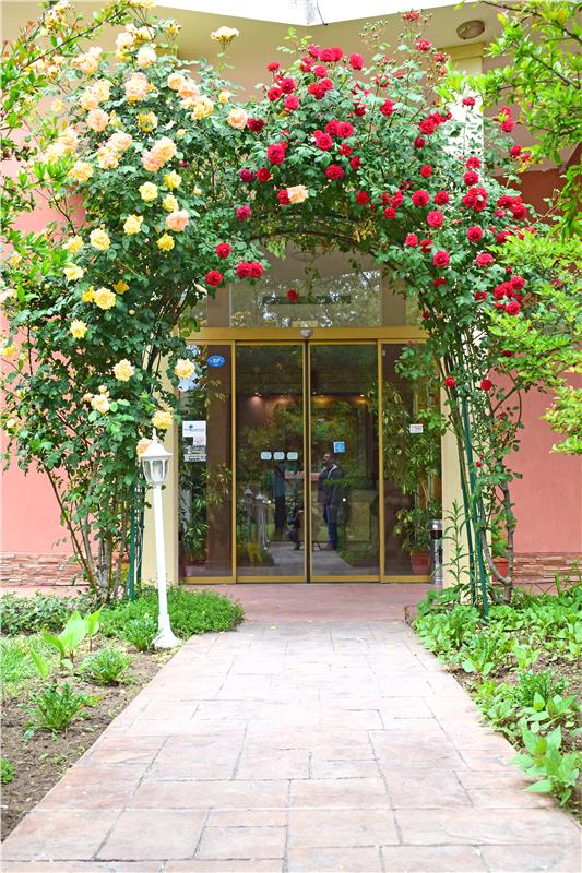 Jupiter Hotel